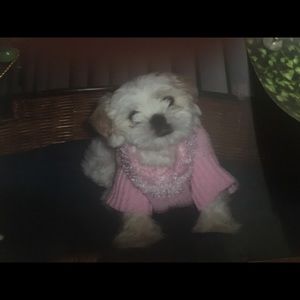 Meet your Posher, Stacey